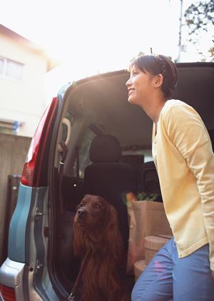 岡山・香川の軽自動車販売の信頼拠点：ハヤシの東岡山店について徹底解説
